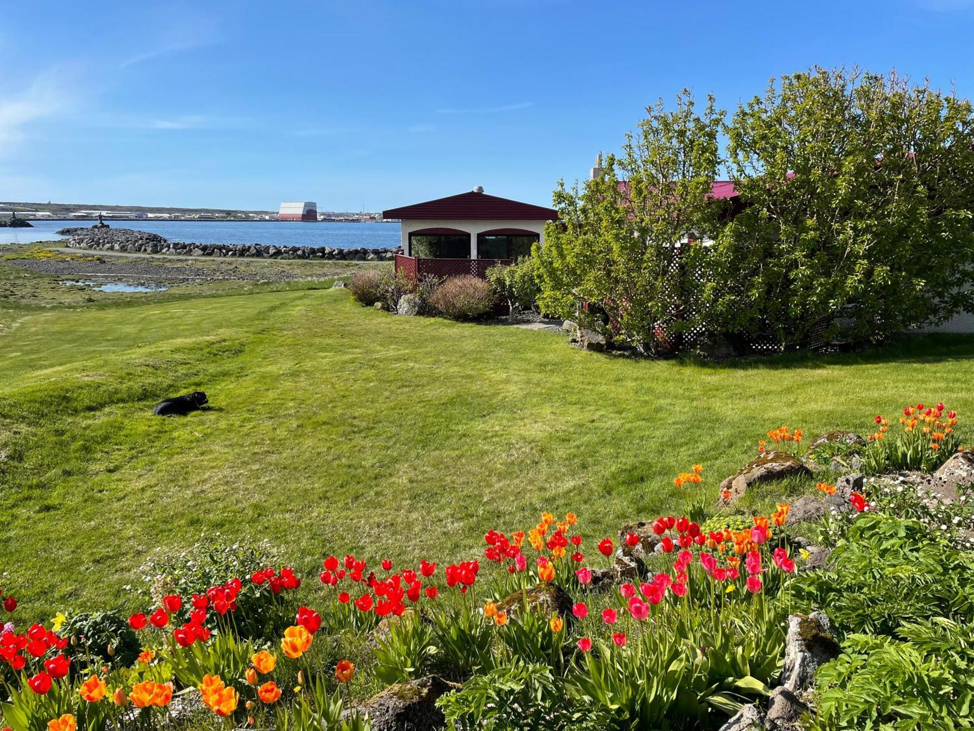 Alka - Cozy Room By The Sea With Private Hot Tub Njarthvik Bagian luar foto